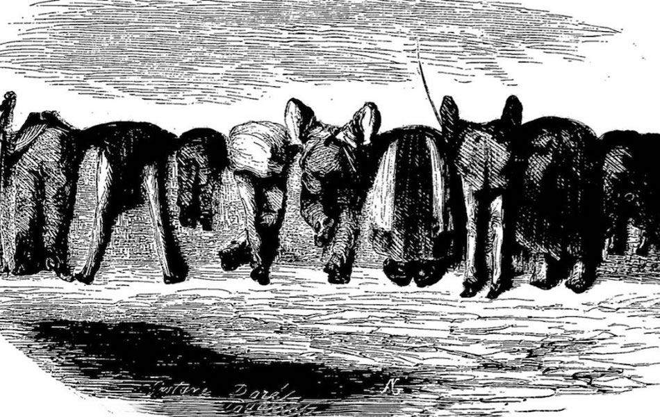 Les caricatures de Gustave Doré